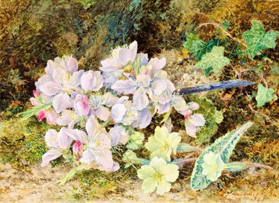 Amendoeiras e Prímulas, 1868 (wc no cartão) de John Jesson Hardwick
