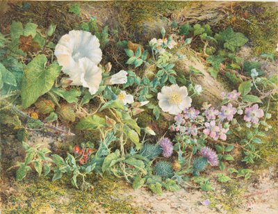 Estudo das Flores, 1866. de John Jessop Hardwick
