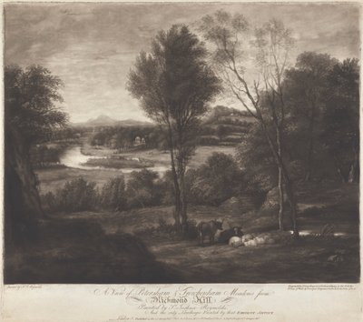 Uma vista de Petersham & Twickenham Meadows de Richmond Hill de John Jones