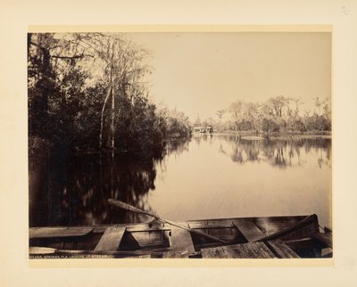 Silver Springs, Florida, vista para montante de John K. Hillers