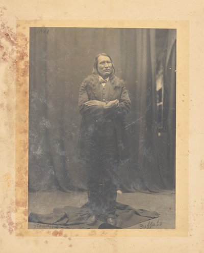 Stehender Büffel de John K. Hillers