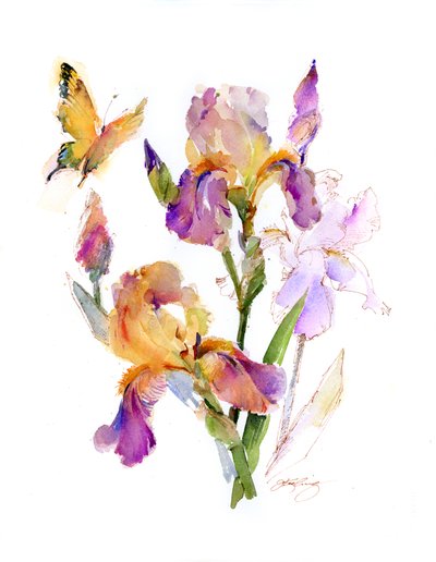 Íris com borboleta amarela, 2016, (aquarela) de John Keeling