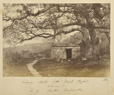 Carvalhos de Valonea com a capela grega por cima. B.H. Renkioi, Dardanelos de John Kirk