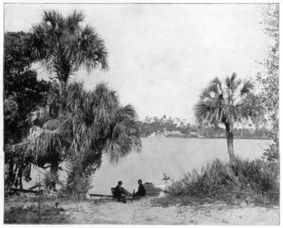 Indian River, Flórida, final do século XIX de John L. Stoddard