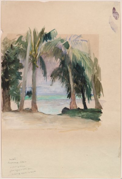 Palmeiras junto ao mar de John La Farge