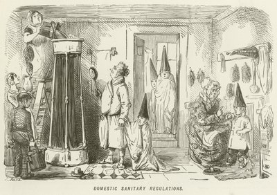 Regulamentação Sanitária Doméstica de John Leech