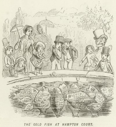 O peixe dourado em Hampton Court de John Leech