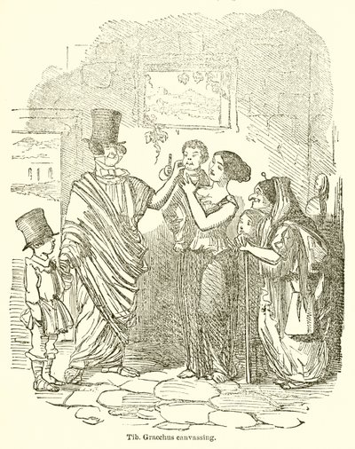 Fib. Graco Canvassing de John Leech