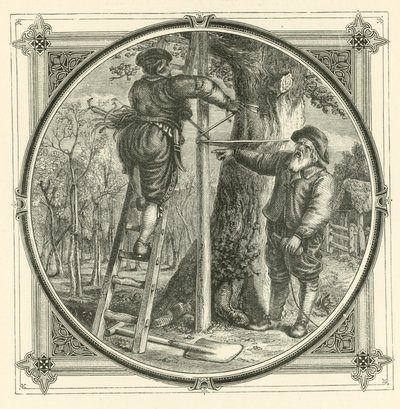 Os ramos podem ser treinados, mas não o tronco (gravura) de John Leighton