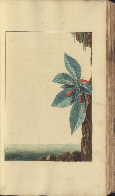 Uma página de &39;Elegâncias da Jamaica&39; de John Lindsay