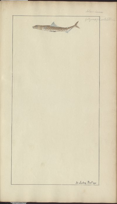 Lindsay Drawings Vol. VII, 23 de John Lindsay