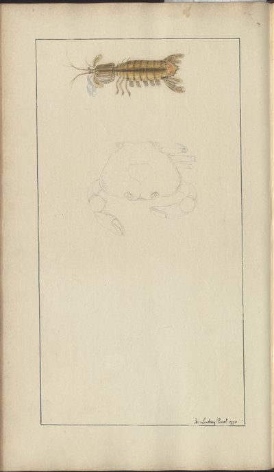 Desenhos de Lindsay Vol. VII, 24 de John Lindsay