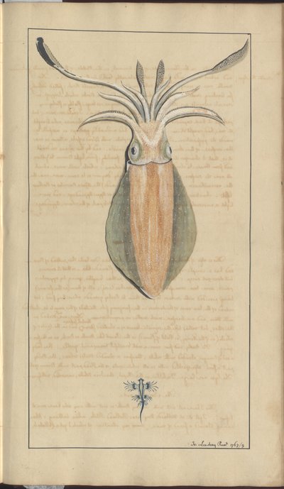 Lindsay Drawings Vol. VII, 29 de John Lindsay