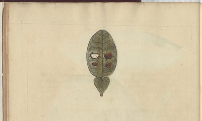 Desenhos de Lindsay Vol. VII, 3 de John Lindsay