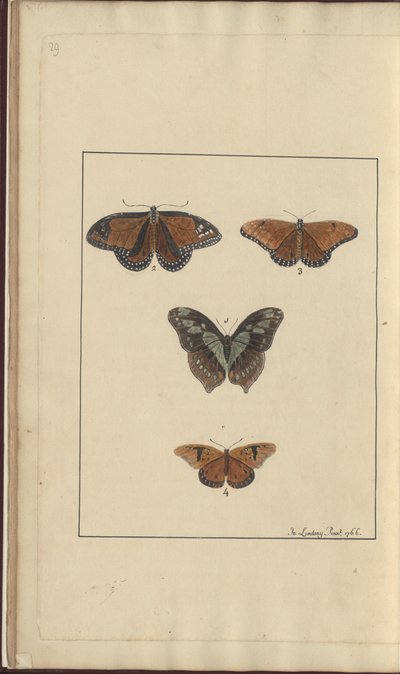 Desenhos de Lindsay Vol. VI, 29 de John Lindsay