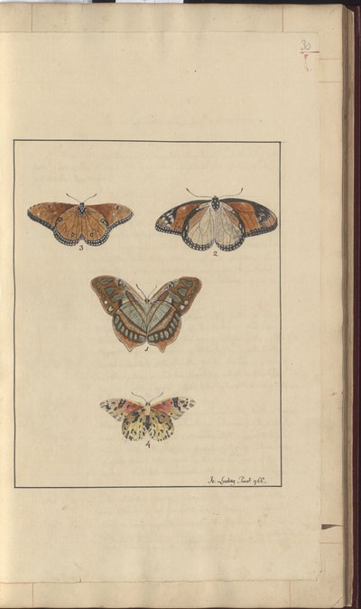 Lindsay Drawings Vol. VI, 30 de John Lindsay