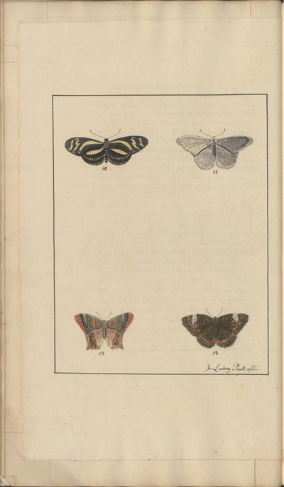 Lindsay Drawings Vol. VI, 35 de John Lindsay