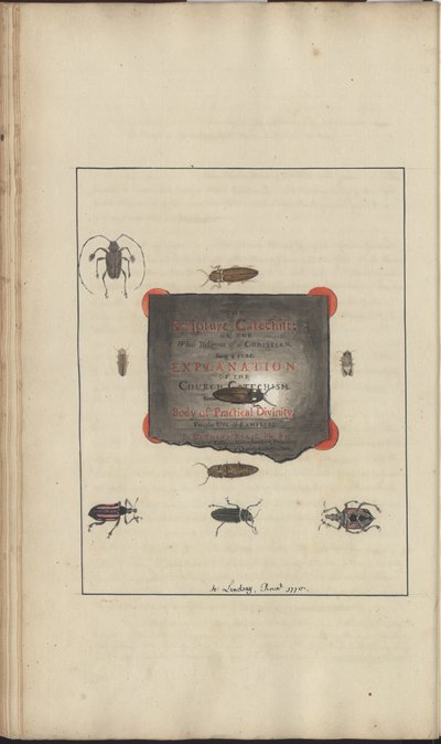 Desenhos de Lindsay Vol. VI, 95 de John Lindsay