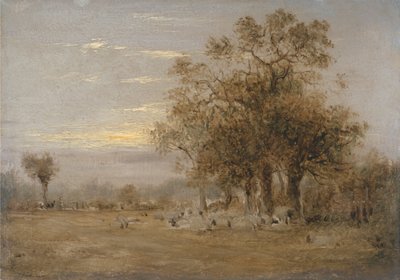 Pastoreio de ovelhas de John Linnell