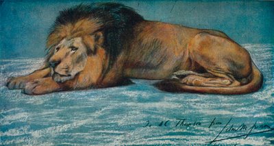 Estudo Pastel de um Leão, c1900 de John Macallan Swan