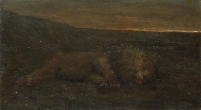 Leão adormecido à noite de John Macallan Swan