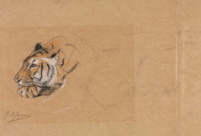 Tigre. de John Macallan Swan