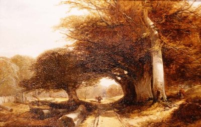 Cenário da floresta de John Middleton