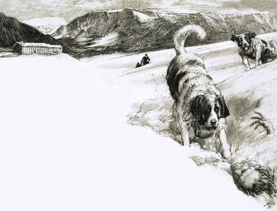 Então é por isso... Estes cães de montanha chamam-se São Bernardo de John Millar Watt