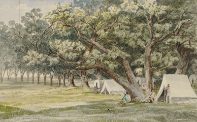 Um bosque de Cottonwood de John Mix Stanley