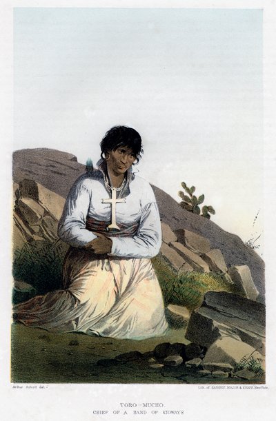 Toro-Mucho, chefe de um bando de Kioways, 1856. de John Mix Stanley