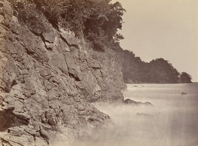 Tropical Scenery, Cliff - Limon Bay, 1871. de John Moran