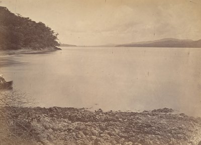 Tropical Scenery, Darien Harbor - Looking South, 1871. de John Moran