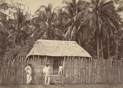 Tropical Scenery, Native Hut, Turbo, 1871. de John Moran