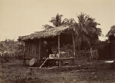 Cenário Tropical, Cabana Nativa, Turbo, 1871. de John Moran