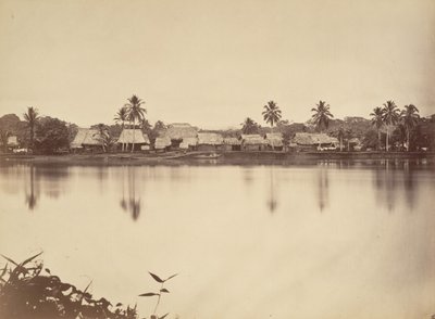 Tropical Scenery, Santa Maria del Real, Darien, 1871. de John Moran
