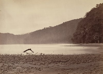 Tropical Scenery, The Terminus of the Proposed Canal, Limon Bay, 1871. de John Moran