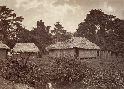 Cenário Tropical, Turbo Village, 1871. de John Moran