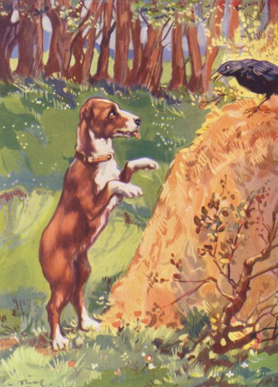 Ilustração para Beautiful Joe de Marshall Saunders (litografia a cores) de John Nicholson