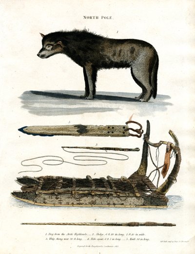 Pólo Norte: Cão do Ártico e equipamento de caça de John Pass