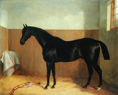 Tommy, Portrait of a Horse, c.1870s (óleo sobre tela) de John Paul