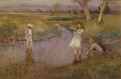 Minnows captura - cidade Meadows, Maidstone, Kent de John Pedder
