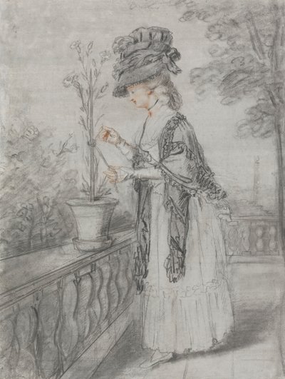 Senhora num Terraço a Cuidar de uma Fábrica de Cravos de John Raphael Smith
