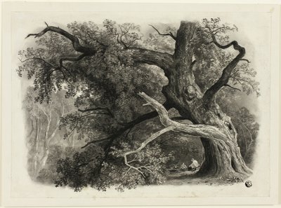 Árvore velha no Billah - Floresta de Sherwood de John Rawson Walker