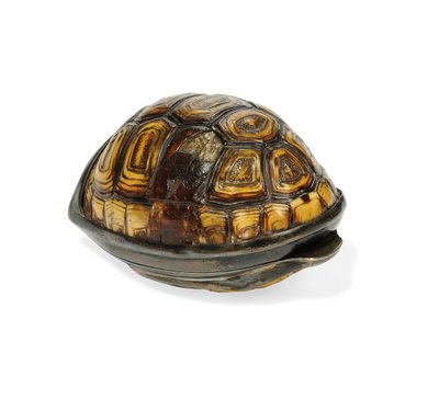 Caixa de rapé George III terrapin, 1817 de John Reily