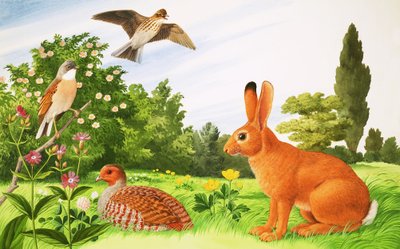 No canto de um campo de John Rignall