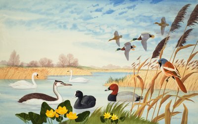 Cena da natureza (guache sobre papel) de John Rignall