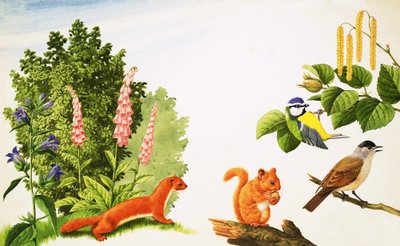 A árvore de avelã de John Rignall