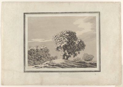 Elm de John Robert Cozens