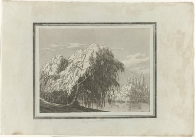 Salgueiro chorão de John Robert Cozens