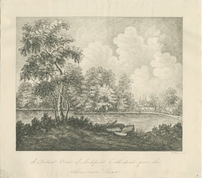 Catedral de Lichfield - Vista Oeste Sudoeste (distante): desenho a caneta de John Robert Fernyhough